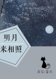 明月来相照雁无痕